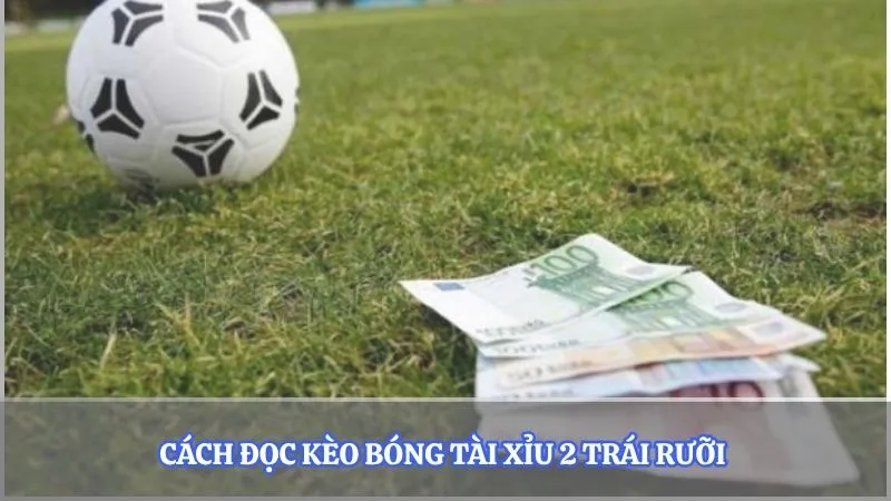 Cách đọc kèo bóng tài xỉu 2 trái rưỡi 
