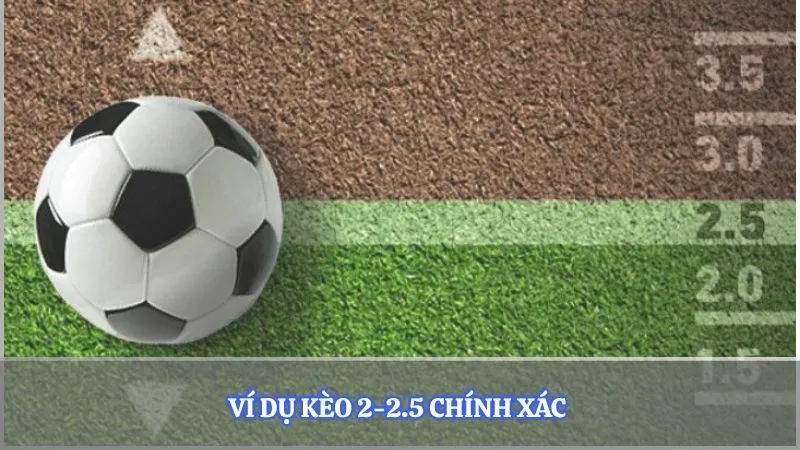 Ví dụ kèo 2-2.5 chính xác 